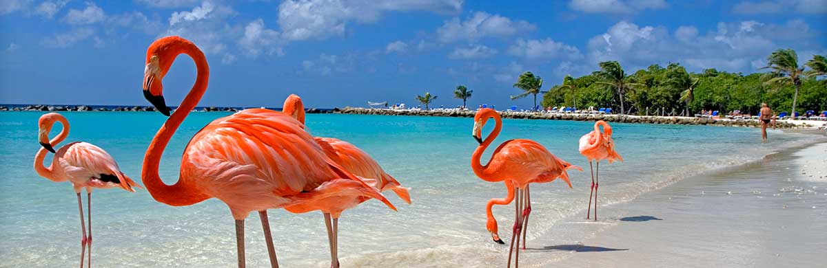 Photo of Aruba