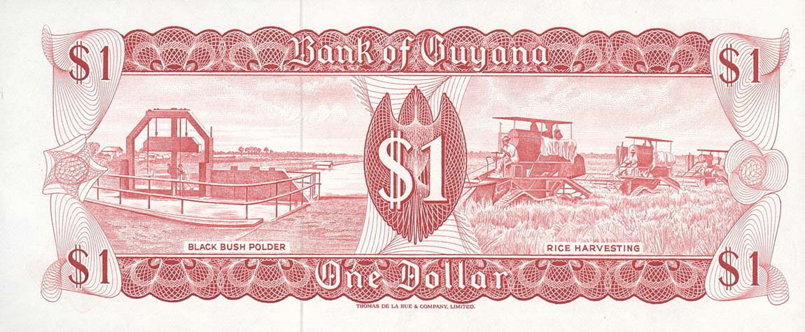 Back of Guyana p21d: 1 Dollar from 1966