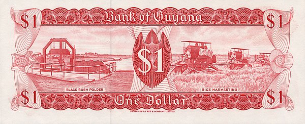 Back of Guyana p21e: 1 Dollar from 1966