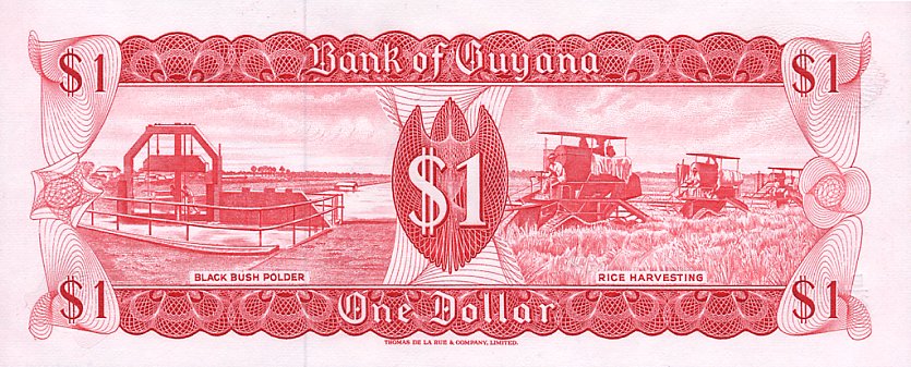 Back of Guyana p21f: 1 Dollar from 1966
