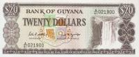 p27 from Guyana: 20 Dollars from 1989