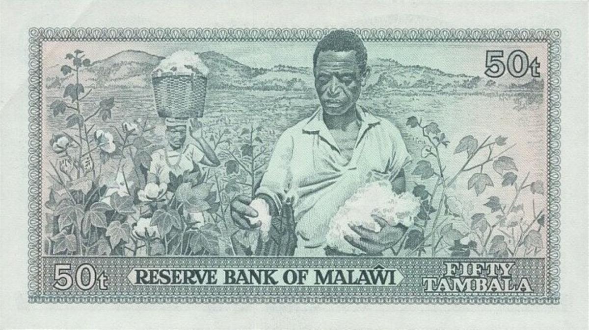Back of Malawi p13c: 50 Tambala from 1981