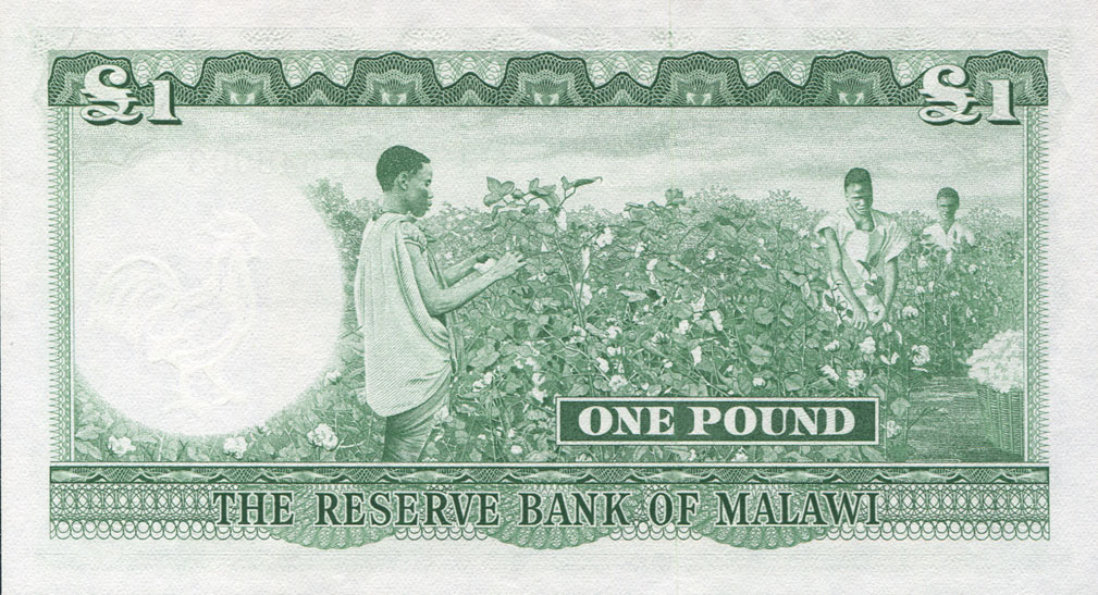 Back of Malawi p3a: 1 Pound from 1964
