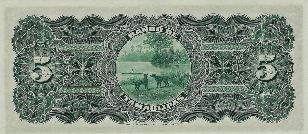 Back of Mexico pS429r: 5 Pesos from 1902