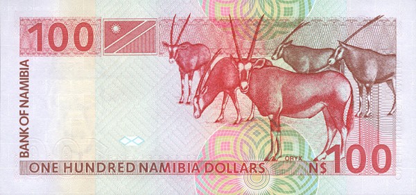 Back of Namibia p3a: 100 Namibia Dollars from 1993