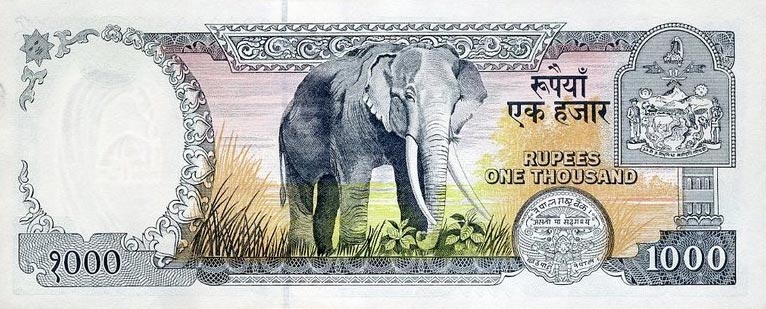 Back of Nepal p36d: 1000 Rupees from 1996