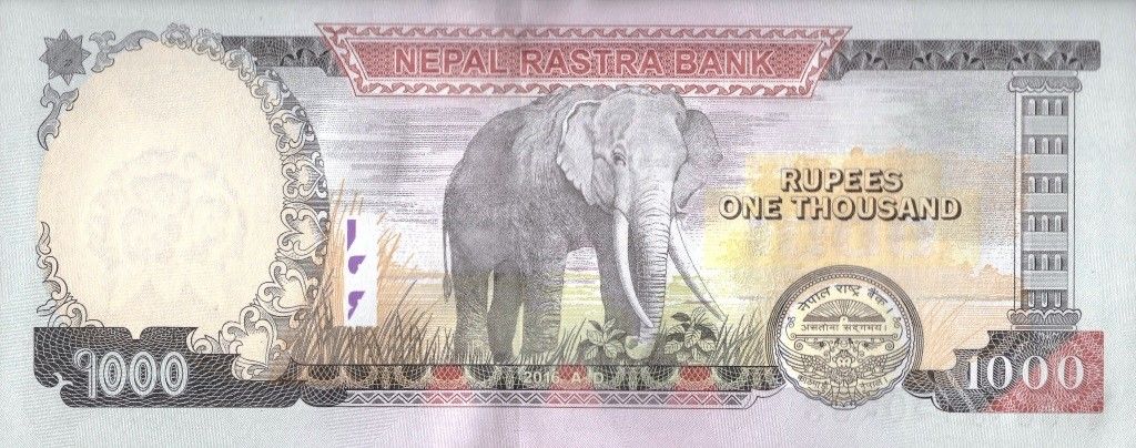 Back of Nepal p75b: 1000 Rupees from 2016