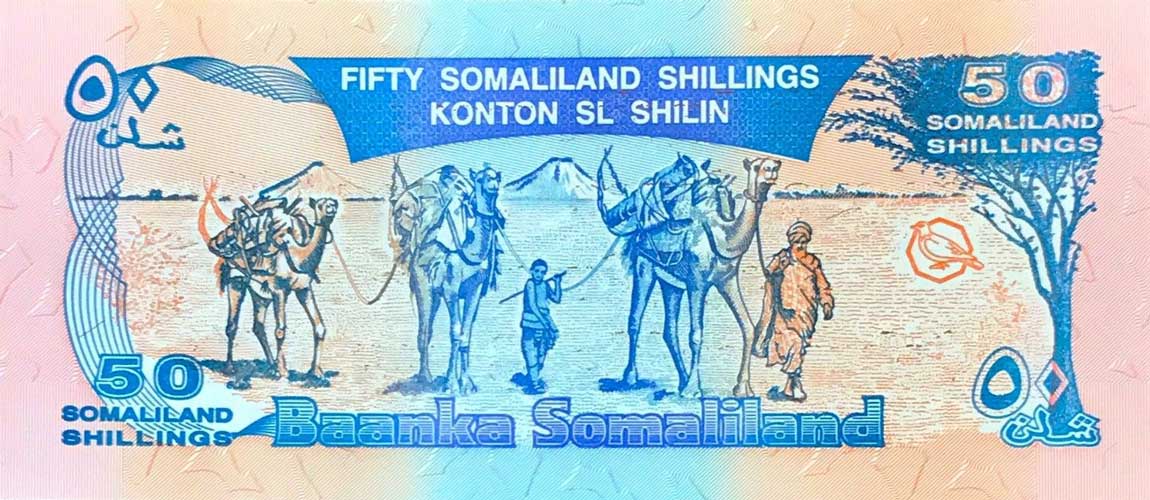 Back of Somaliland p11a: 50 Shillings from 1996