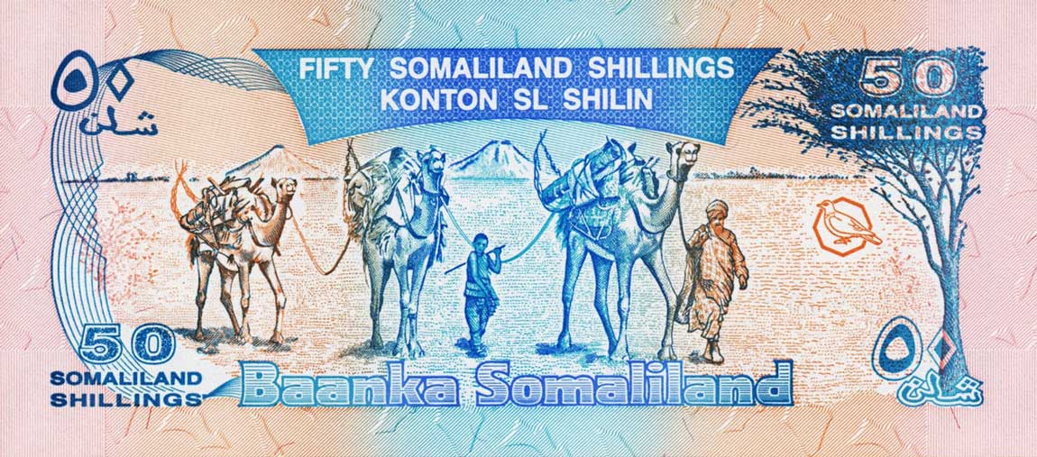 Back of Somaliland p4b: 50 Shillings from 1996