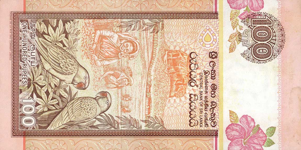 Back of Sri Lanka p105c: 100 Rupees from 1992