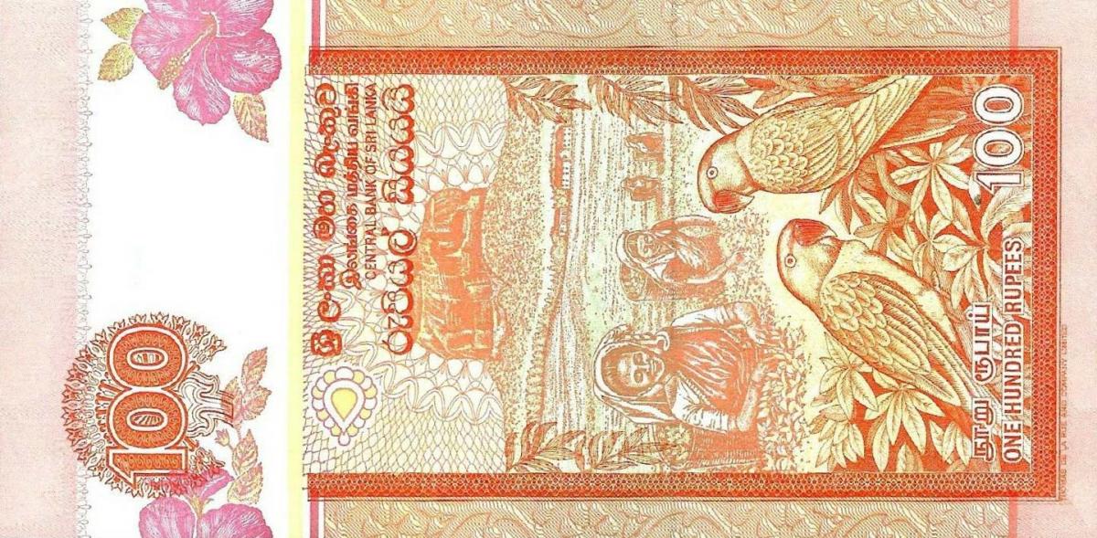 Back of Sri Lanka p111e: 100 Rupees from 2006
