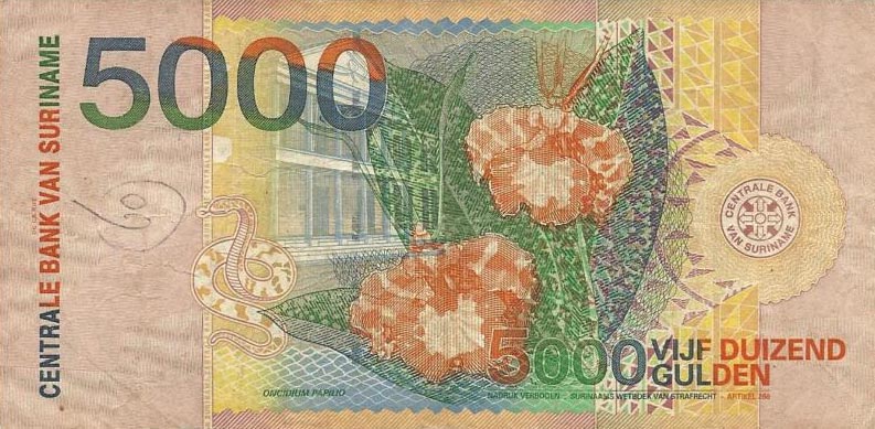 Back of Suriname p152: 5000 Gulden from 2000