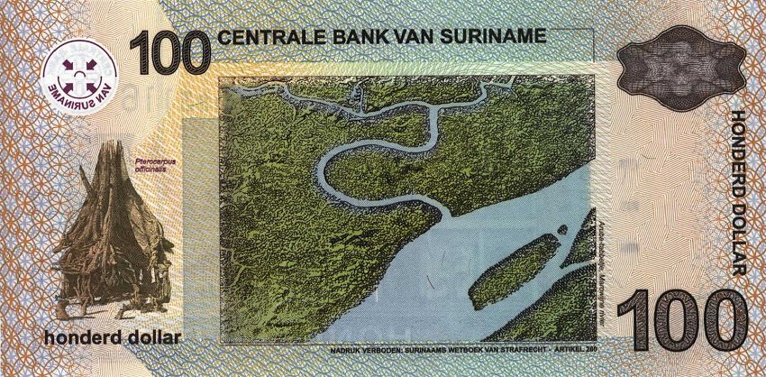 Back of Suriname p161a: 100 Dollars from 2004