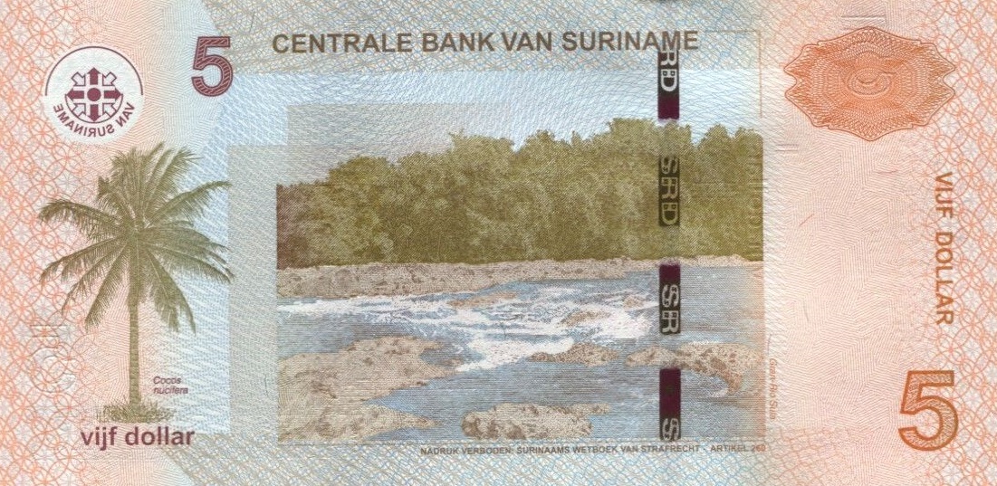 Back of Suriname p162a: 5 Dollars from 2010