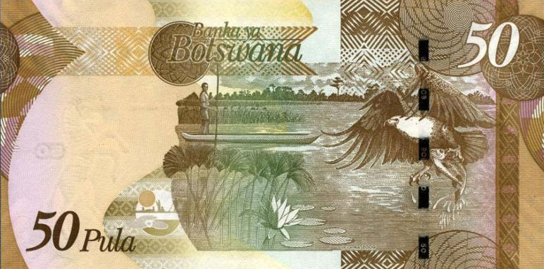 Back of Botswana p32a: 50 Pula from 2009