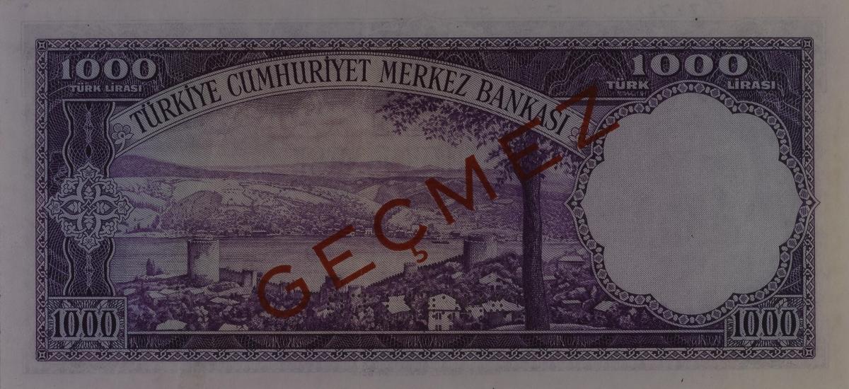 Back of Turkey p172s: 1000 Lira from 1953