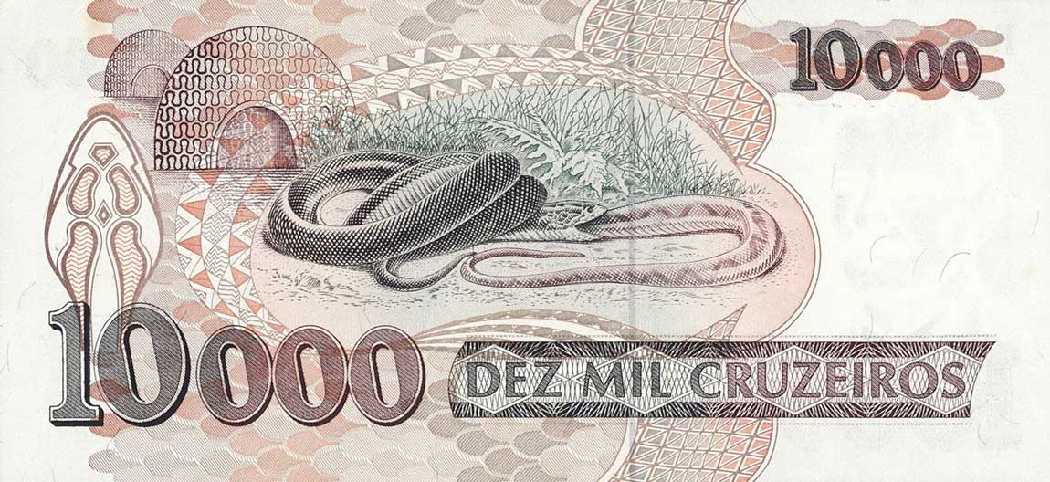 Back of Brazil p233r: 10000 Cruzeiros from 1991