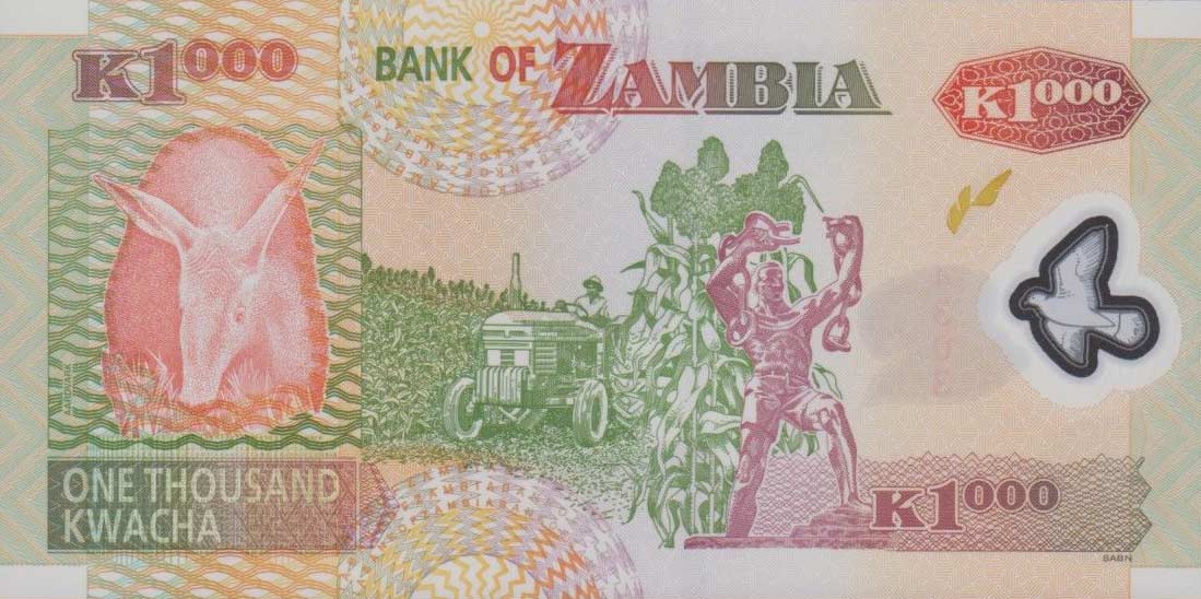 Back of Zambia p44f: 1000 Kwacha from 2008