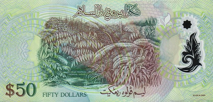 Back of Brunei p28: 50 Ringgit from 2004