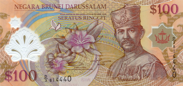 Front of Brunei p29a: 100 Ringgit from 2004