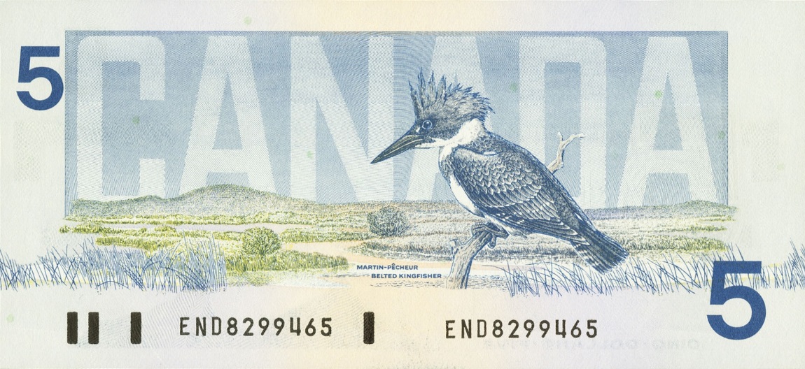 Back of Canada p95a1: 5 Dollars from 1986
