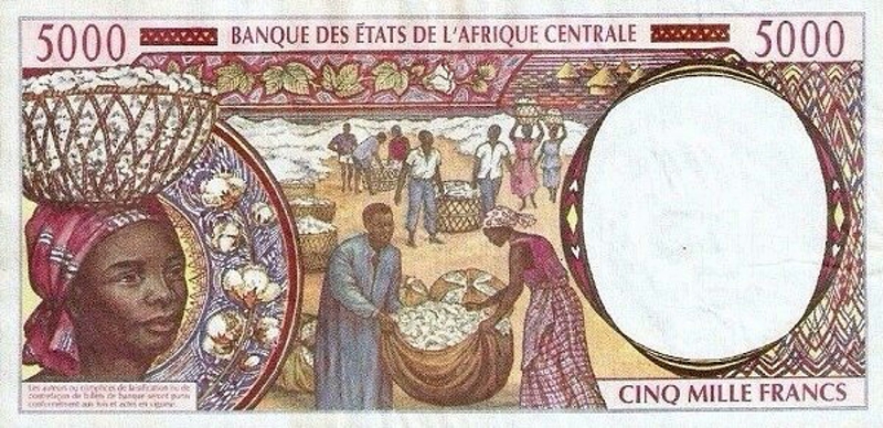 Back of Central African States p104Ca: 5000 Francs from 1994