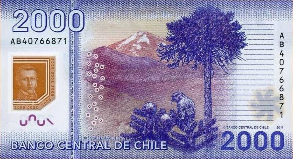 Back of Chile p162d: 2000 Pesos from 2014