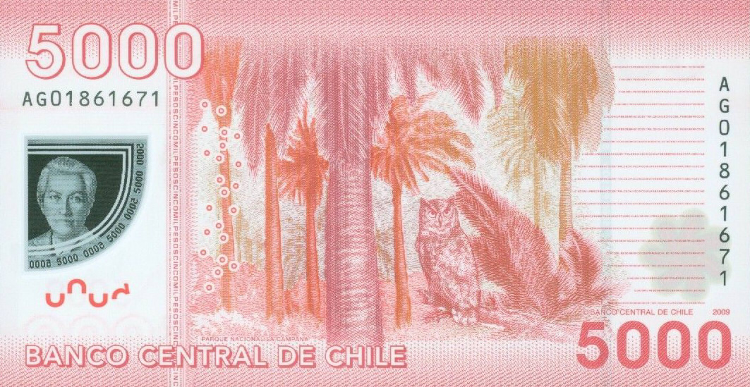 Back of Chile p163a: 5000 Pesos from 2009