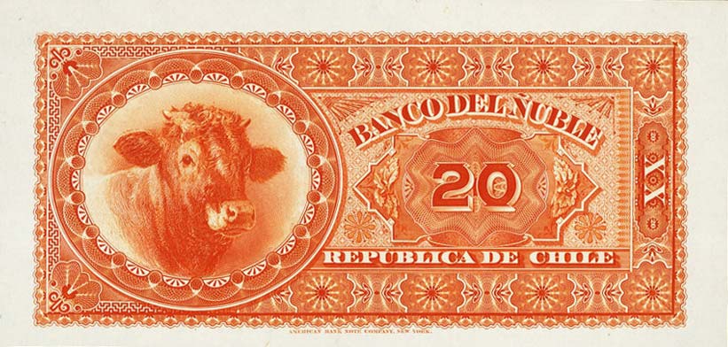 Back of Chile pS345p: 20 Pesos from 1888