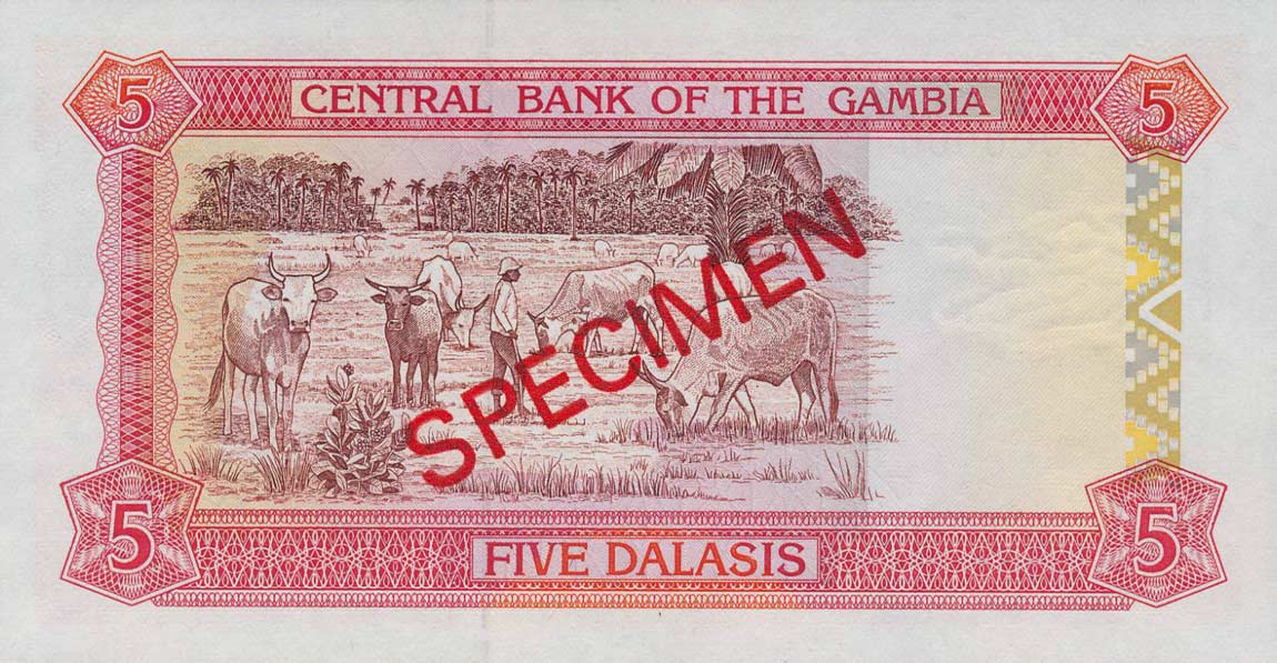 Back of Gambia p12s: 5 Dalasis from 1991