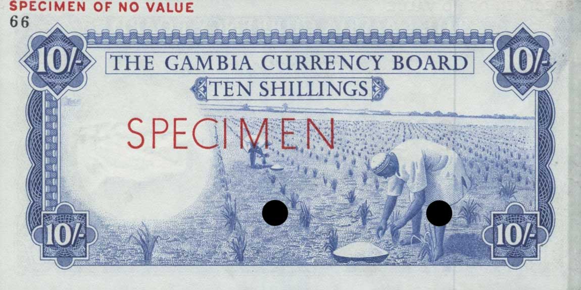 Back of Gambia p1ct: 10 Shillings from 1965