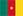 Flag of Cameroon