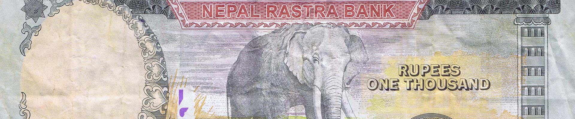 Elephants on Banknotes (1st part – African) header image