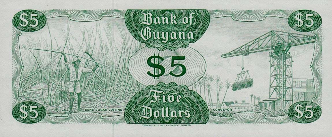 Back of Guyana p22d: 5 Dollars from 1966