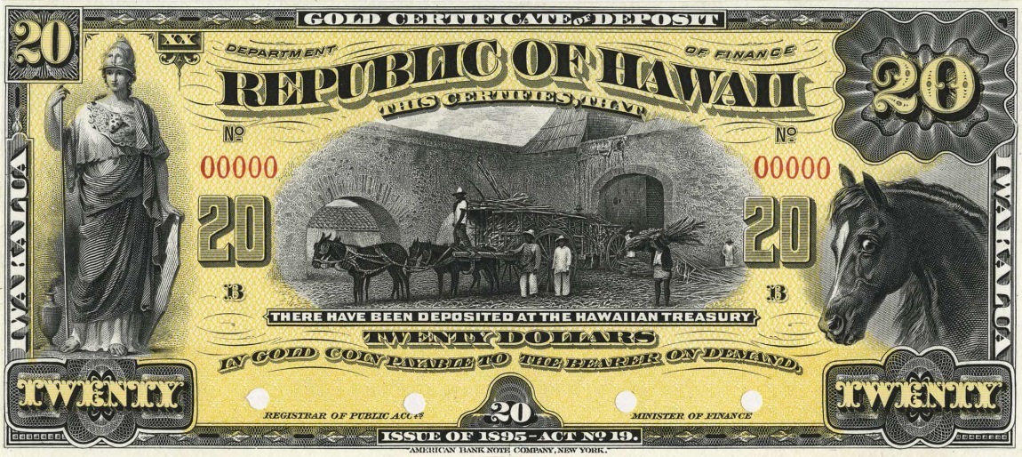 Front of Hawaii p8p1: 20 Dollars from 1895