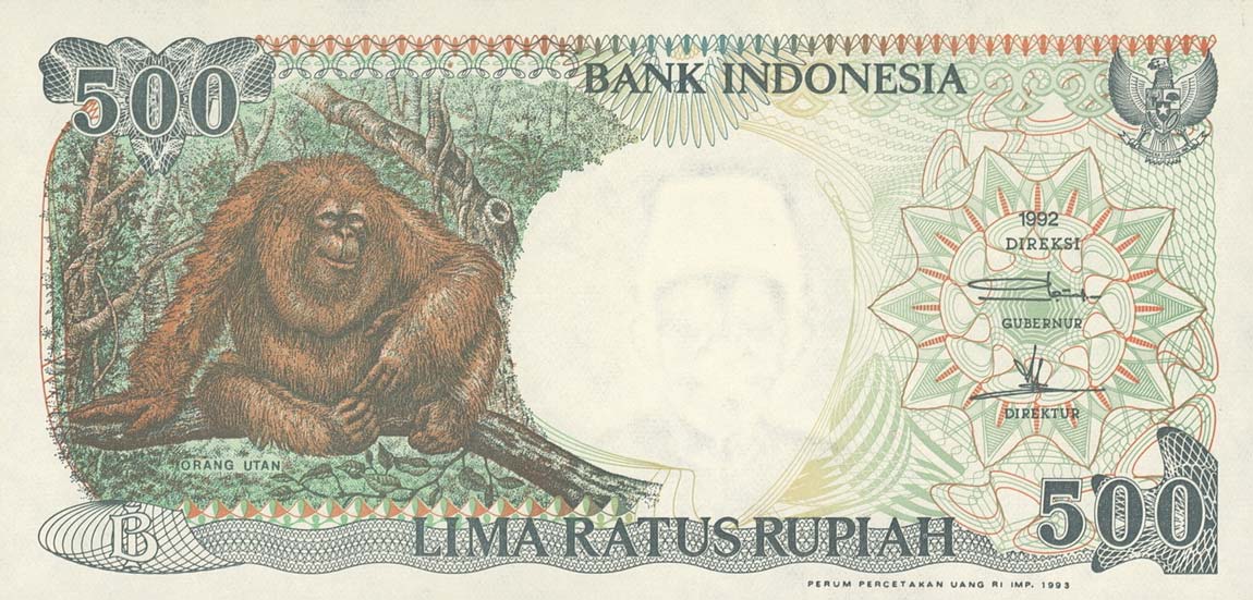 Front of Indonesia p128b: 500 Rupiah from 1993