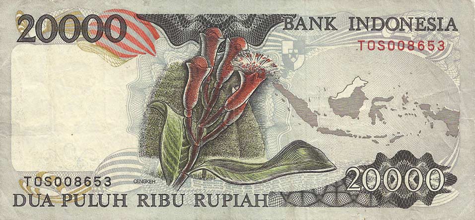 Back of Indonesia p132c: 20000 Rupiah from 1994