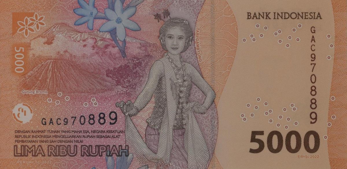 Back of Indonesia p164a: 5000 Rupiah from 2022