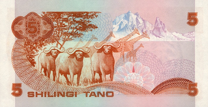 Back of Kenya p19b: 5 Shillings from 1982