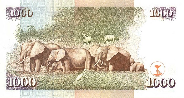 Back of Kenya p40d: 1000 Shillings from 2001