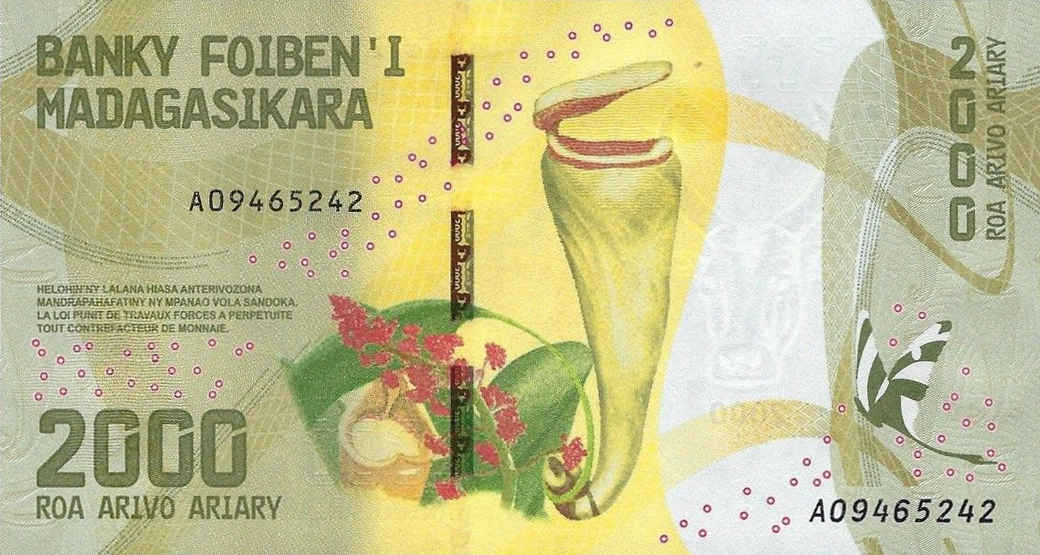 Back of Madagascar p101: 2000 Ariary from 2017