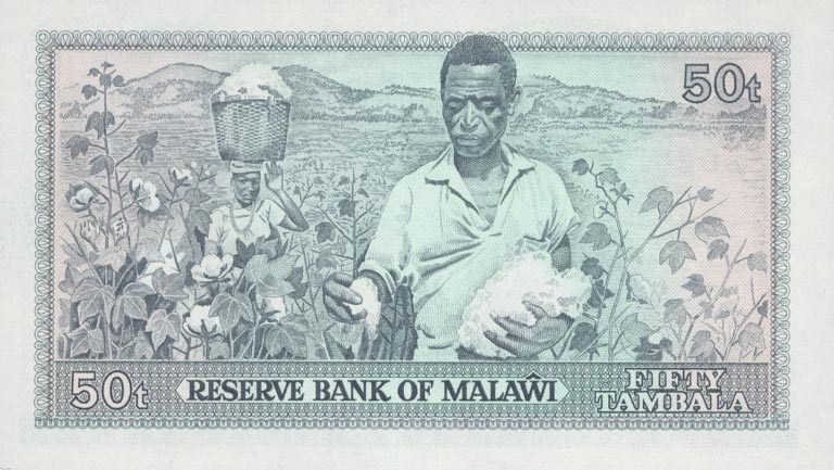 Back of Malawi p13d: 50 Tambala from 1982