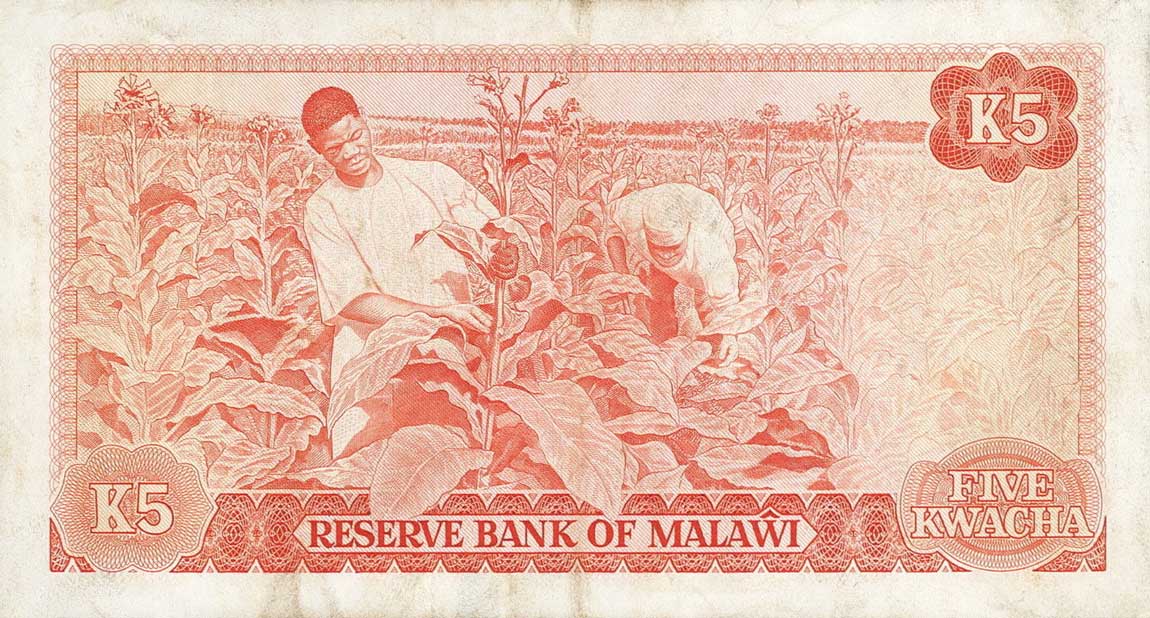 Back of Malawi p15f: 5 Kwacha from 1984