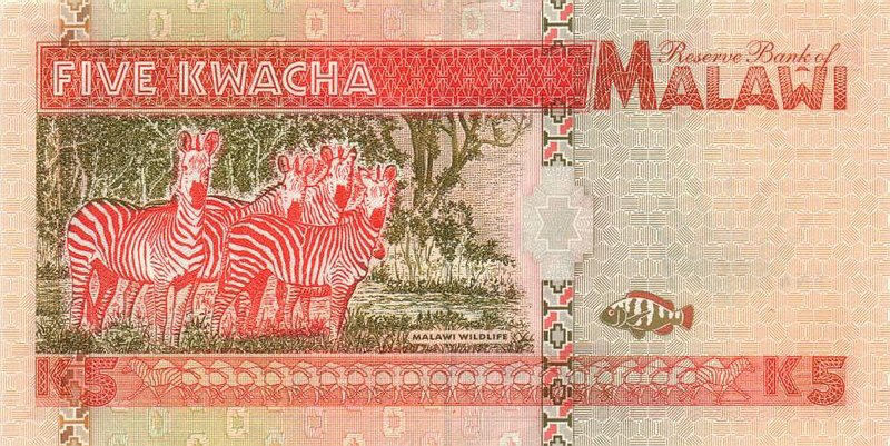 Back of Malawi p30a: 5 Kwacha from 1995