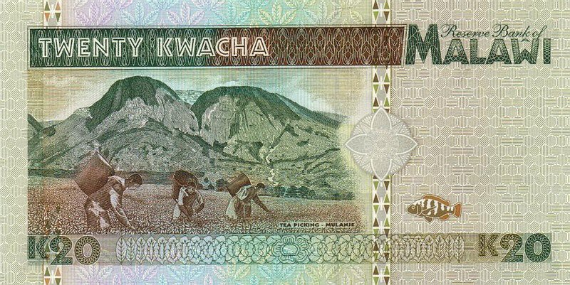 Back of Malawi p32a: 20 Kwacha from 1995