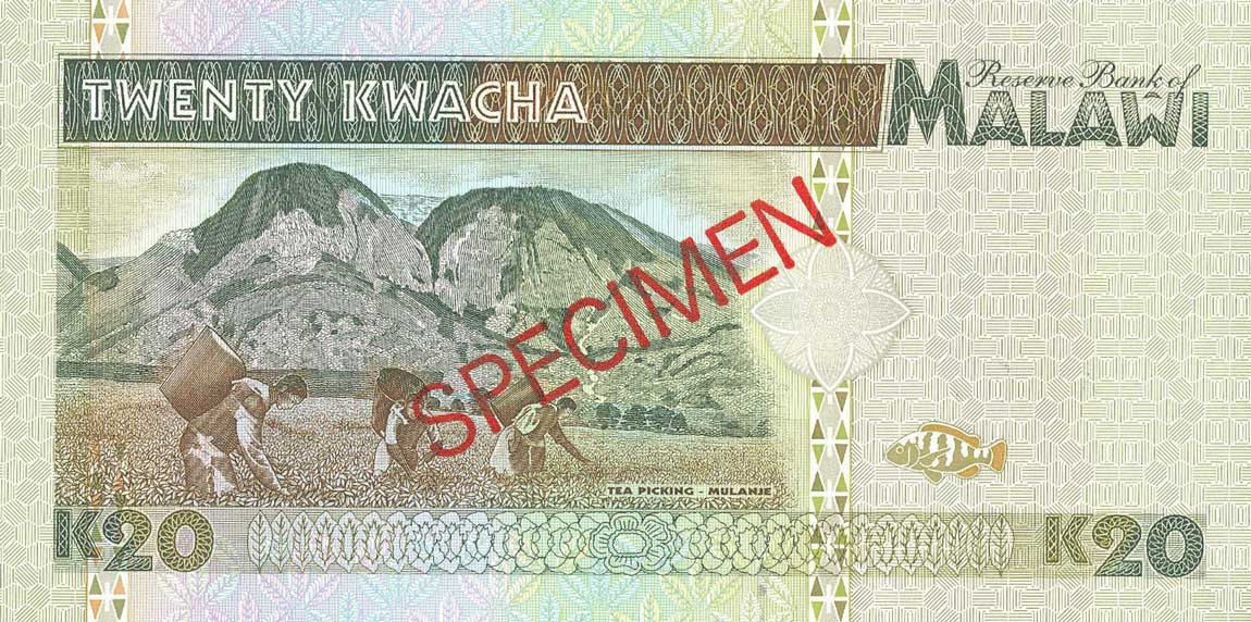 Back of Malawi p32s: 20 Kwacha from 1995