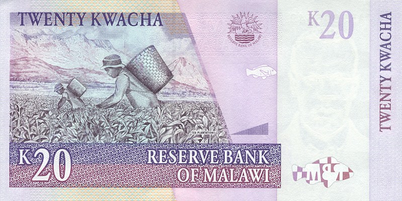 Back of Malawi p38a: 20 Kwacha from 1997