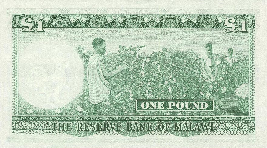Back of Malawi p3Aa: 1 Pound from 1964