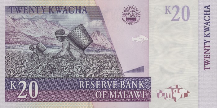 Back of Malawi p44b: 20 Kwacha from 2004