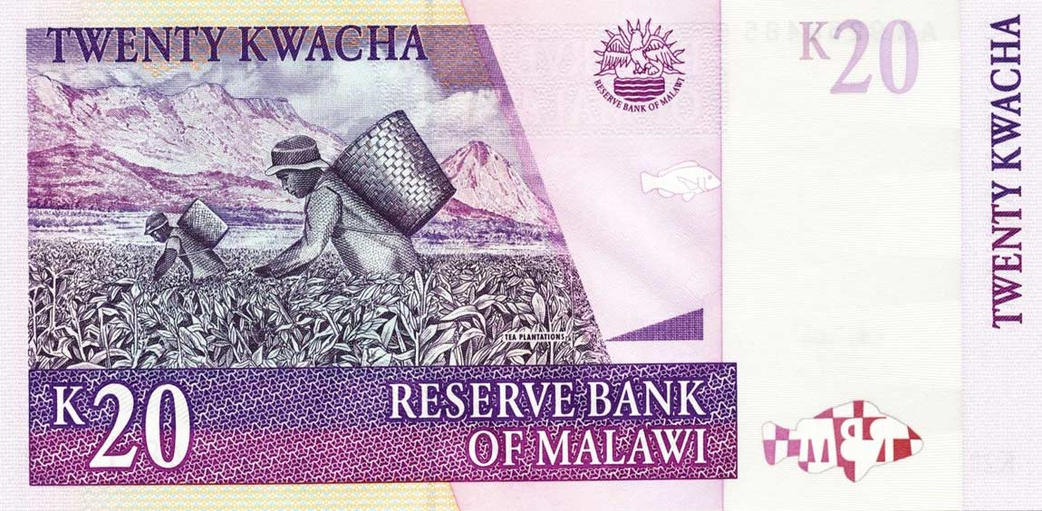 Back of Malawi p52b: 20 Kwacha from 2006